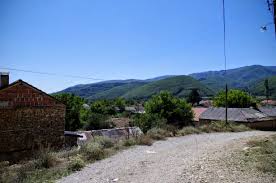 Ново Село