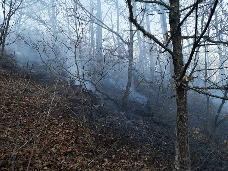 МЗШВ воведува забрана за движење во шума и шумско земјиште